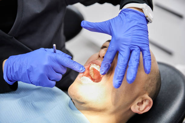 Best Urgent Tooth Repair  in Roy, UT